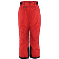 Unisex Insulated Snow Pants, Crimson Flare
