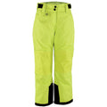 Unisex Insulated Snow Pants, Neon Meadow