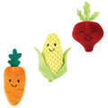Plush Squeaky Rope Pet Toy, Garden Medley